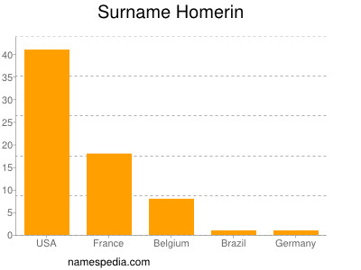 Surname Homerin