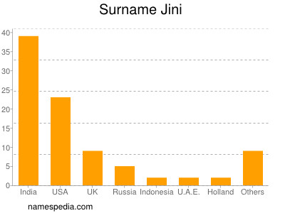 Surname Jini