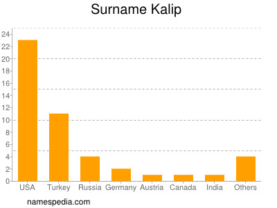 Surname Kalip