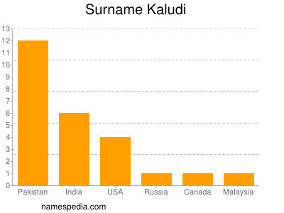 Surname Kaludi
