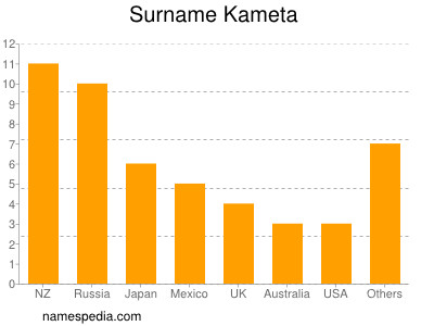 Surname Kameta