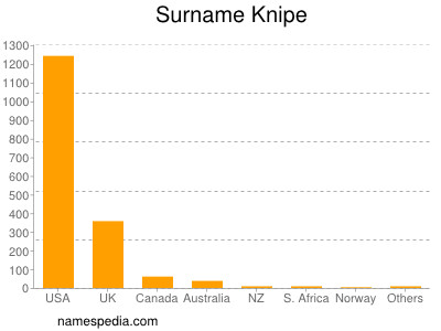 Surname Knipe