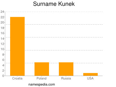 Surname Kunek