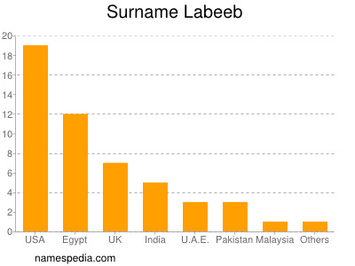 Surname Labeeb