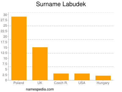 Surname Labudek