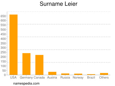 Surname Leier