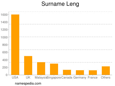 Surname Leng