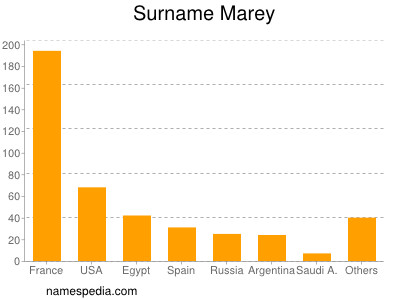 Surname Marey