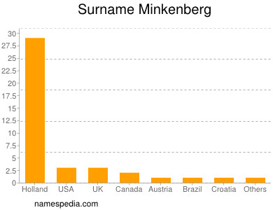 Surname Minkenberg