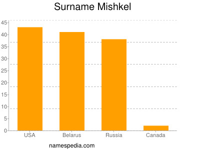 Surname Mishkel