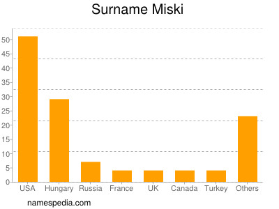 Surname Miski