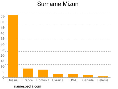 Surname Mizun