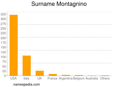 Surname Montagnino