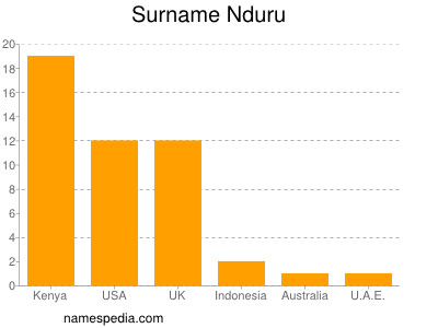 Surname Nduru