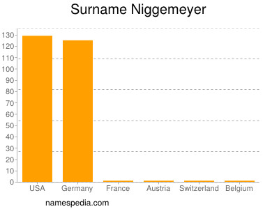Surname Niggemeyer