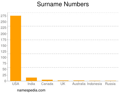 Surname Numbers