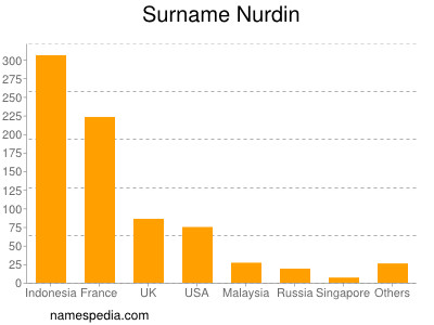 Surname Nurdin
