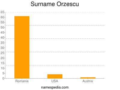 Surname Orzescu