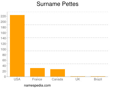 Surname Pettes