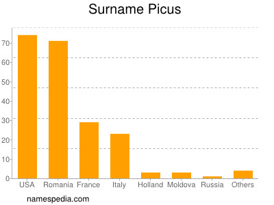 Surname Picus