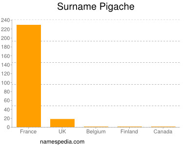 Surname Pigache