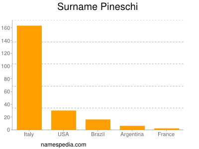 Surname Pineschi