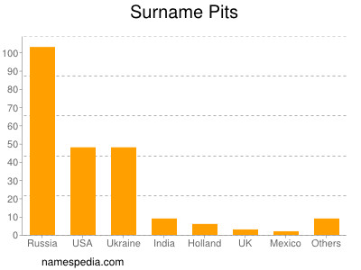 Surname Pits