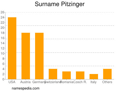 Surname Pitzinger