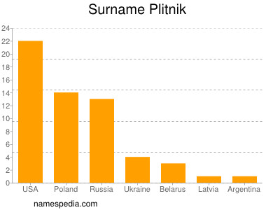 Surname Plitnik