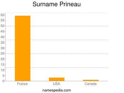 Surname Prineau