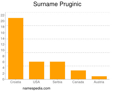 Surname Pruginic