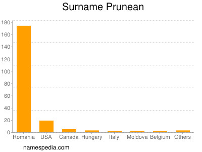 Surname Prunean