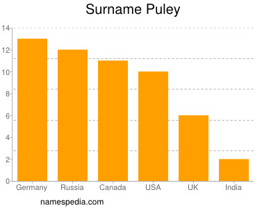 Surname Puley