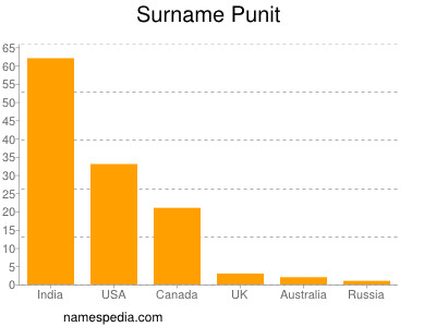 Surname Punit