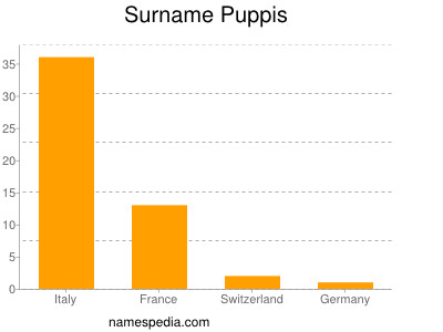 Surname Puppis