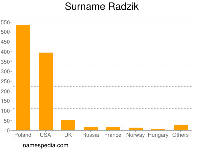 Surname Radzik