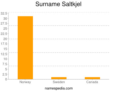 Surname Saltkjel