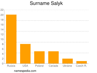 Surname Salyk
