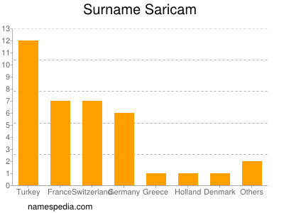 Surname Saricam