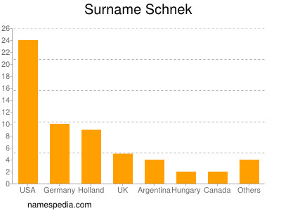 Surname Schnek