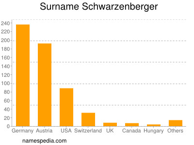 Surname Schwarzenberger