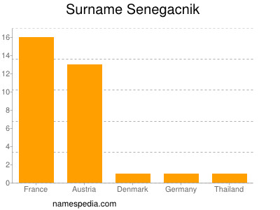 Surname Senegacnik