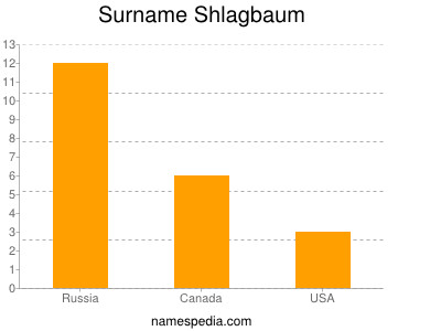 Surname Shlagbaum