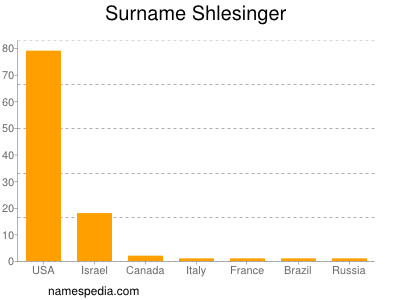 Surname Shlesinger