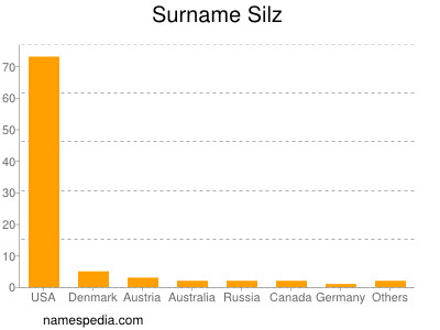Surname Silz