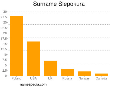 Surname Slepokura