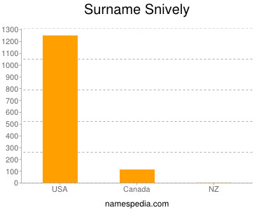 Surname Snively