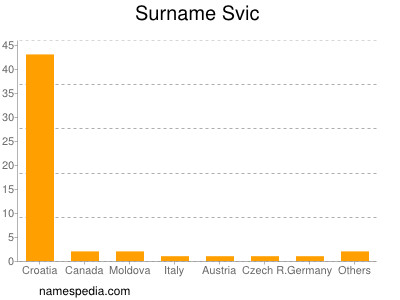 Surname Svic