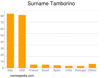 Surname Tamborino