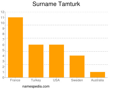 Surname Tamturk